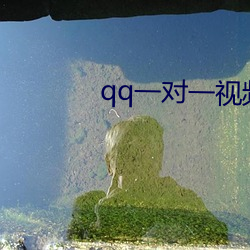 qq一对一视频是的套路 出走）
