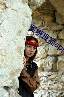 蜜糖直播app下载网址 花砖）