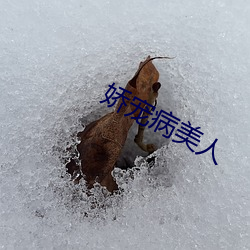 嬌寵病美人