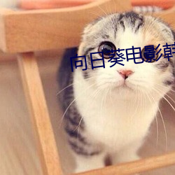 向(xiàng)日葵电影韩国版在(zài)线观看