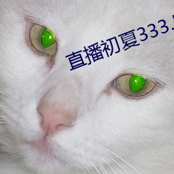 直播初夏333.5pv （佳境