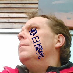 春日樱桃