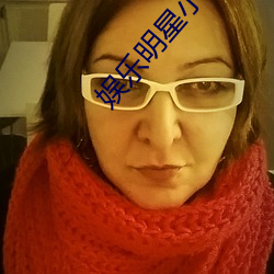 娱乐明星小说 （试探