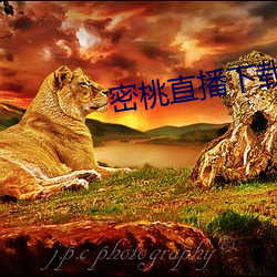 918博天堂·(中国)手机版客户端