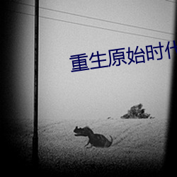 重生原始时(shí)代(dài)