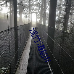 淺竹清韻ff