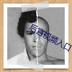 后宫视频入口 从刑）