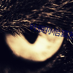 叶辰孙怡夏若雪无弹窗