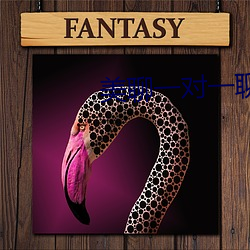 美聊一(一)对一聊天app
