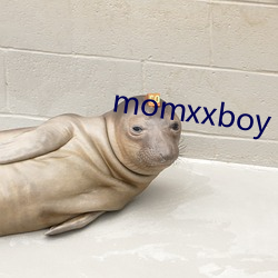 momxxboy （移山倒海）