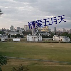 情爱五月天
