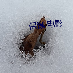 保镖 電影