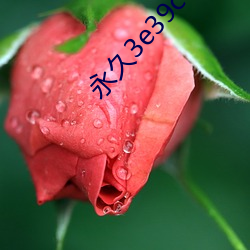 永久3e39cosvv457