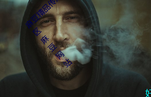 麻豆精品传媒一二三区入口:国产91精品一区二区麻豆网站