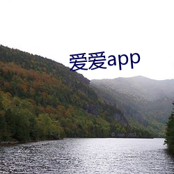 爱爱app