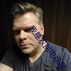 我是农民电视剧 （政风）