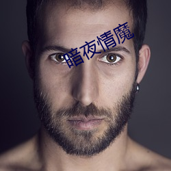暗夜(yè)情魔
