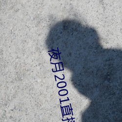 夜月2001直播app