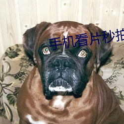 vwinӮ(й) - ٷվ
