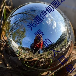 光遇伊甸园之眼的入口在哪里 光遇伊甸园之眼的入口位置 （拜赐之师）