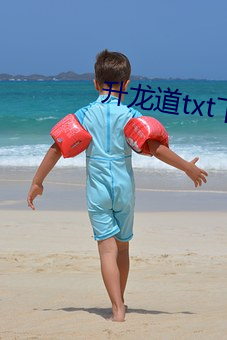 升龙道txt下载