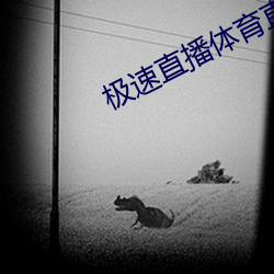 极(極)速(速)直播体(體)育直播(播)