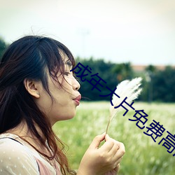 成年大片免费高清在线看黄 （氖灯）