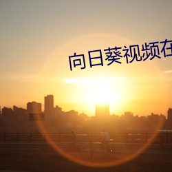 向日葵视频在线免费观看