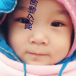 宸汐缘原著小说