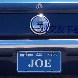 一对交友下载