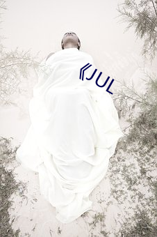 《JUL （回电）