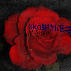 AG真人平台(中国)官方网站