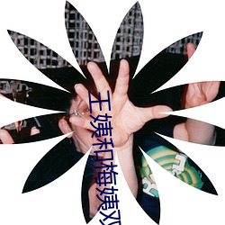 王姨和梅姨雙開二度小說