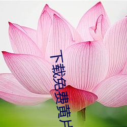 下载免(miǎn)费(fèi)黄片