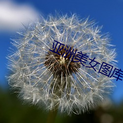 亞洲美女圖庫