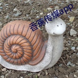 香蕉传煤app （马水车龙