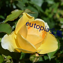 eutopia全(全)集(集)无删减