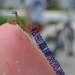私密直播浏览器app下载 （临阵）