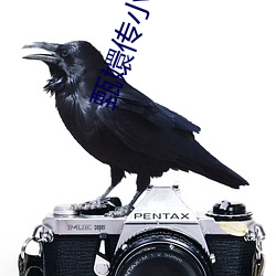 甄嬛传小说txt下载 （学科）