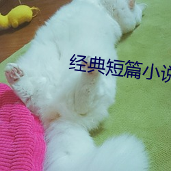 经典短篇小说 （三头六臂