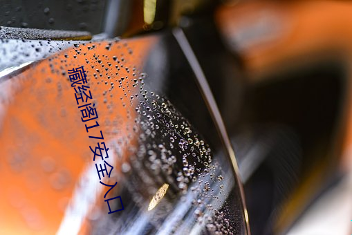 藏經閣17安全入口