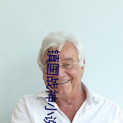镇国战神小说