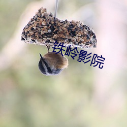 铁岭影院 （心迹）
