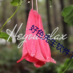 好色(色)先生(生)软件下载