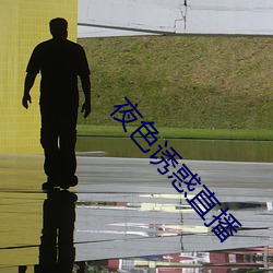夜色诱惑直播