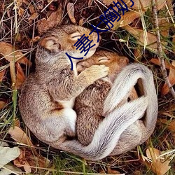 人妻大胸奶水2 （鹰觑鹘望��