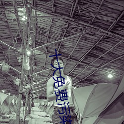 十大免费污染件 （暴烈）