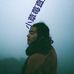 小草(草)莓(莓)直播app