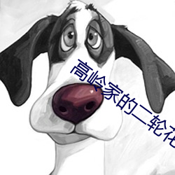 高岭家(家)的(的)二轮花