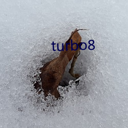 turbo8